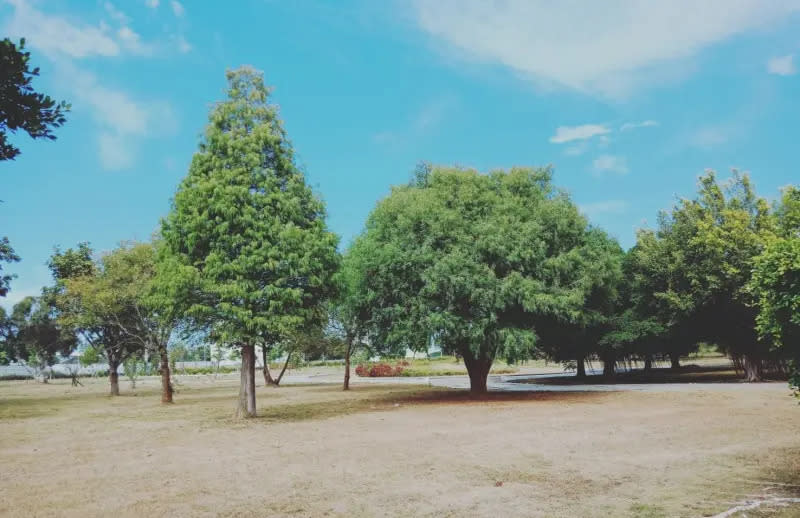 ▲台中神岡樹葬植存區「崇璞園」環境清靜幽雅。（圖／台中市政府提供，2024.04.02）