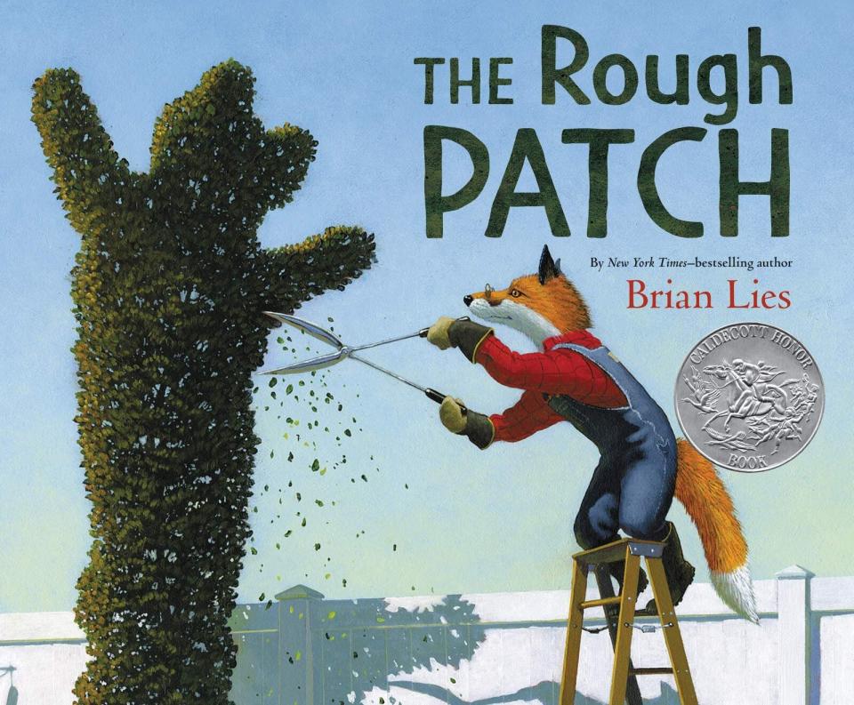 "The Rough Patch" follows a fox who learns to cope with loss and grief after the death of his dog and best friend. <i>(Available <a href="https://www.amazon.com/Rough-Patch-Brian-Lies/dp/0062671278" target="_blank" rel="noopener noreferrer">here</a>)</i>