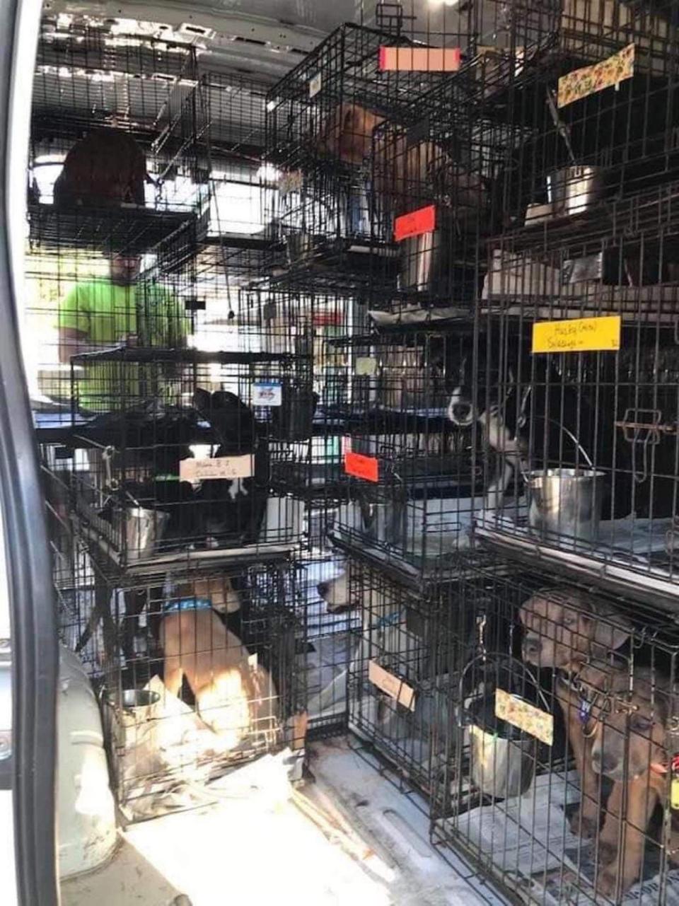 The Humane Society Pet Rescue & Adoption Center has been transporting homeless pets out of state, to areas where people are looking for pets to adopt.