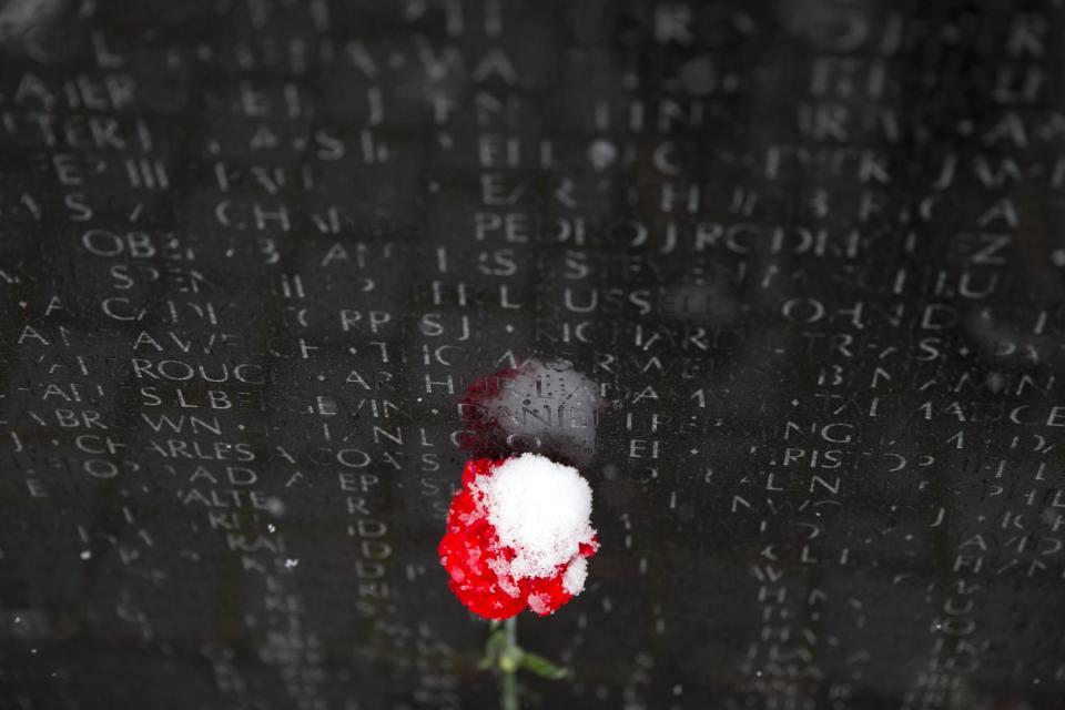 A carnation covered with snow sits at the Vietnams Veterans Memorial in Washington, Tuesday, March 25, 2014. The calendar may say it's spring, but the mid-Atlantic region is seeing snow again. The National Weather Service has issued a winter weather advisories for much of the region Tuesday. The advisories warn that periods of snow could make travel difficult, with slippery roads and reduced visibility. (AP Photo/ Evan Vucci)