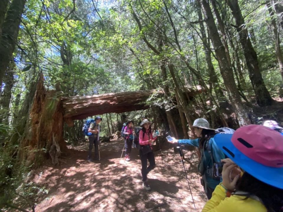 前進閂山，不可錯過的就是壯觀的閂山之門。