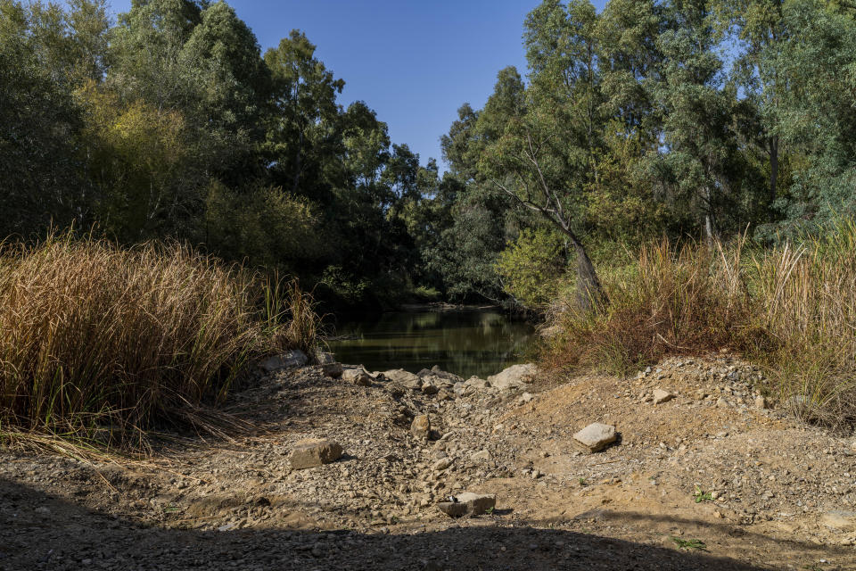 The Guadiamar river bank in Las Doblas, southwest Spain, Tuesday, Oct. 18 2022. Climate change hit Spain with record-high temperatures and a prolonged drought this year. (AP Photo/Bernat Armangue)