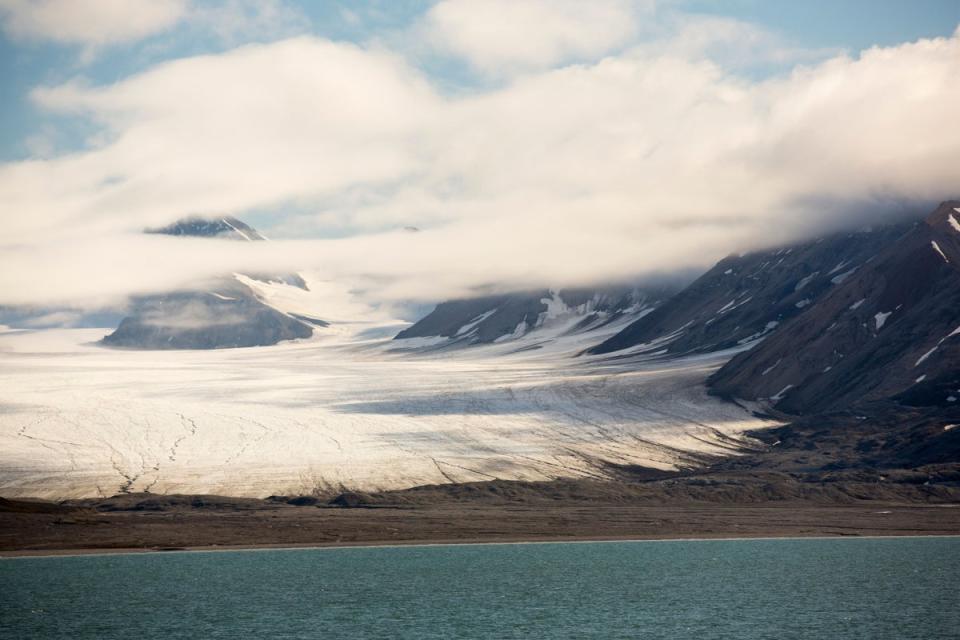 Keep an eye out for seals and beluga whales on your cruise through the glaciers of Svalbard (Alamy Stock Photo)