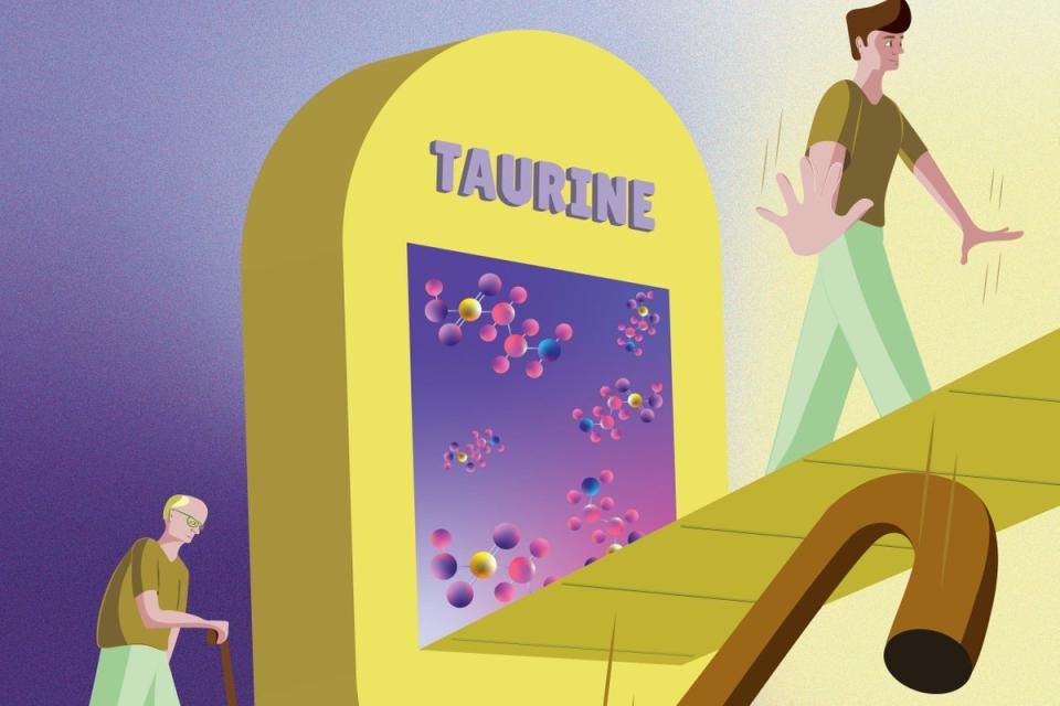 Taurine is an amino acid found in meat and fish (Columbia University Irving Medical Centre))