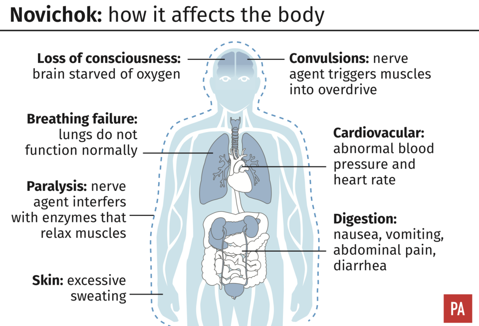 <em>How Novichok affects the body (PA)</em>