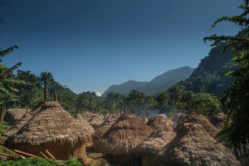 The thatched homes of the Kogui people (Alex Robinson)