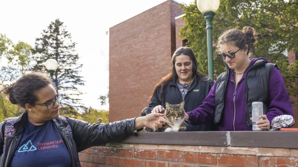 Students pet Max in front of Leavenworth Hall at Vermont State University Castleton. He likes climbing on their backpacks. - Rob Franklin/Vermont State University