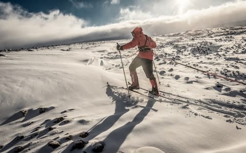 Captain Rudd's sled and equipment weighed 140kgs at the start of his endeavour.  - Credit: RenŽ Koster Photography