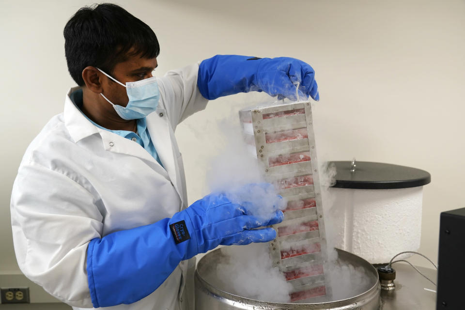 Researcher Dr. Ramachandran Prakasam pulls stem cells out of a nitrogen tank used in the study of a rare form of autism linked to a genetic mutation in the MYT1L gene inside a Washington University lab on Wednesday, Dec. 15, 2021, in St. Louis. Researchers are using the stem cells derived from the blood of Jake Litvag, 16, and mice with the same mutation as Jake to better understand the mutation and link to autism. (AP Photo/Jeff Roberson)