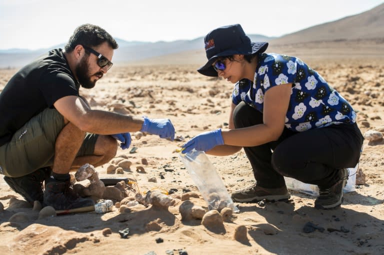 Chile's Atacama desert, like Mars, is hot, and extremely dry, but tiny algae and bacteria that survive there could give clues to potential life on the Red planet