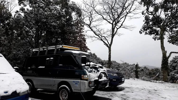 烏來區967高地地面、汽機車與樹上都是雪。翻攝畫面