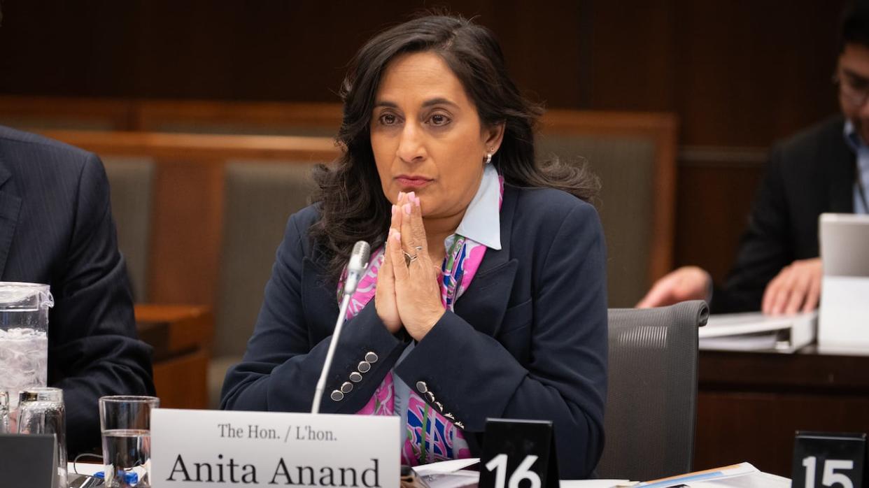 Treasury Board President Anita Anand photographed on Thursday before a parliamentary committee looking into the federal government's use of tools capable of extracting data from mobile phones and computers. (Olivier Plante/Radio-Canada - image credit)