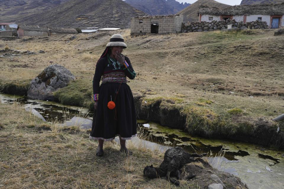 A woman stands near a spring next to a dead sheep at the Cconchaccota comunity in Apurimac region of Peru, Friday, Nov. 25, 2022. Residents drink water from that nearby spring that sometimes dries up. (AP Photo/Guadalupe Pardo)