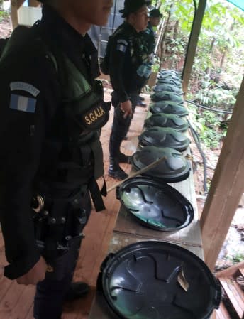 Agents of the Guatemalan National Civil Police (PNC) are seen during an operation to dismantle a coca processing lab in Izabal