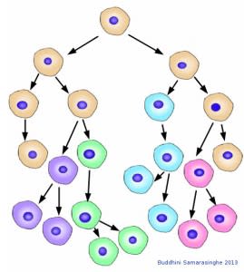 Hallmarks of Cancer 7: Genome Instability and Mutation