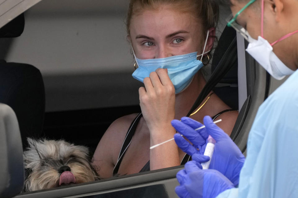 A dog watches on as a woman has a swab taken at a drive-through COVID-19 testing clinic at Bondi Beach in Sydney.