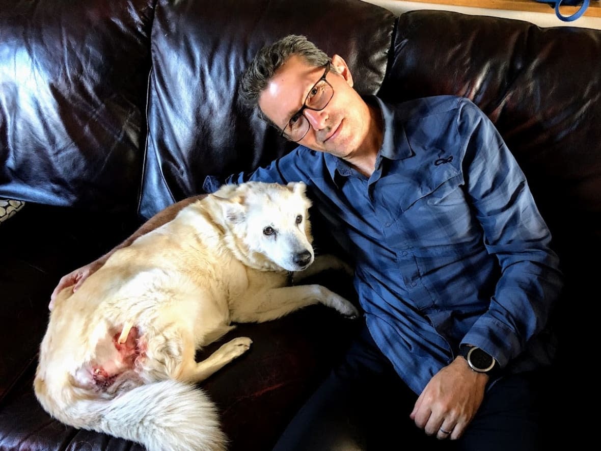 Rich McCue and his pet, Ms. Porkchop, after she was gored by a buck this week in a Gordon Head backyard in Victoria, B.C. (Rich McCue - image credit)