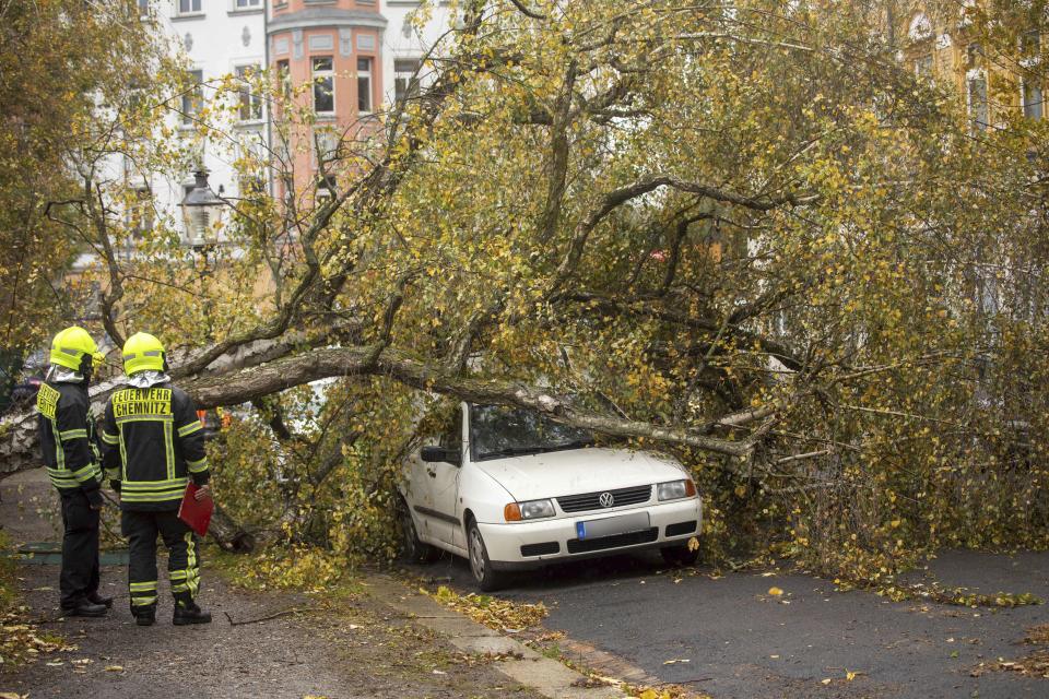 Firefighters stand besides a fallen tree in Chemnitz, Germany, Thursday, Oct. 21, 2021. Germany is hit by heavy rain and storms. (Bernd Maerz/dpa via AP)