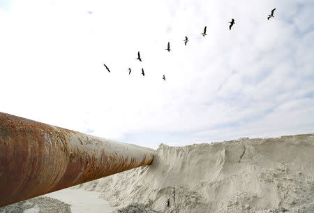 A flock of Pelicans fly above dredging equipment at St. Augustine Beach along the Atlantic Coast of Florida, U.S., January 26, 2018. Picture taken January 26, 2018. REUTERS/Gregg Newton