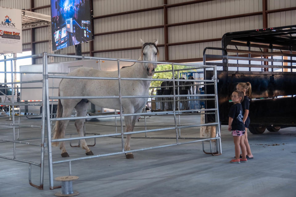 Two young girls look over the horse staging area set up at the grand opening Friday at the Pavilion at the Santa Fe Depot in downtown Amarillo.