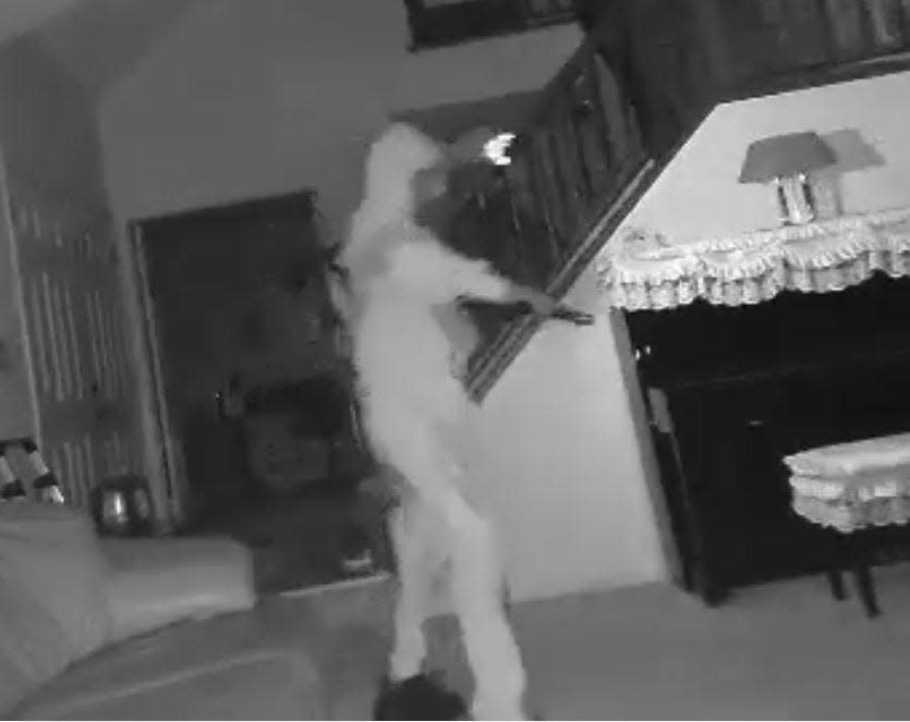 This still photo from a surveillance camera shows suspected burglar Andrew Gray, of Philadelphia, displaying a handgun while going through the home of a Bensalem family