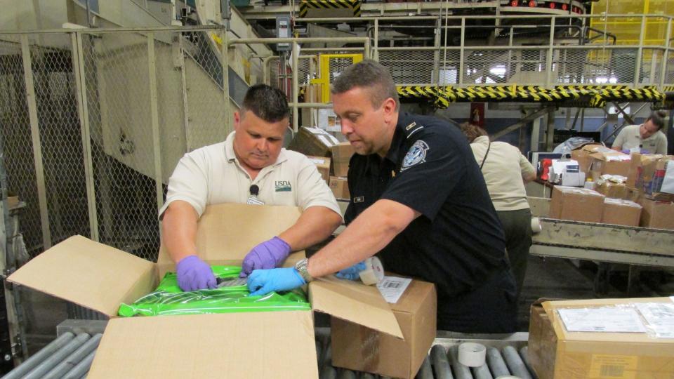 Customs inspector search a box at a postal facility.