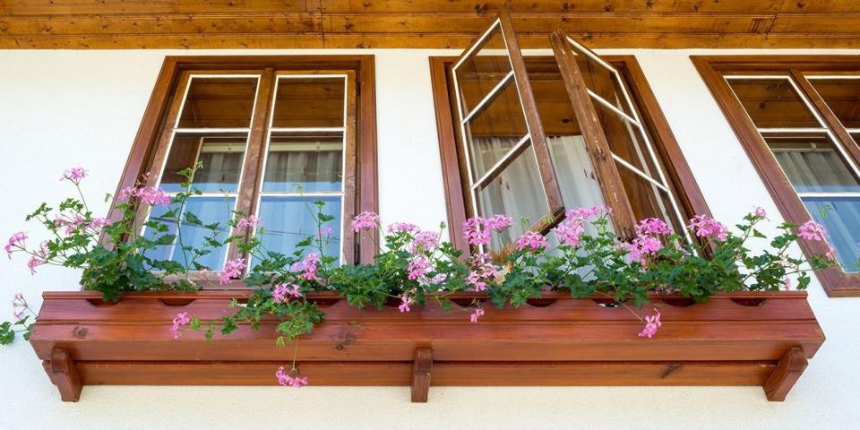 Spruce Up Your Home with a Window Box Planter
