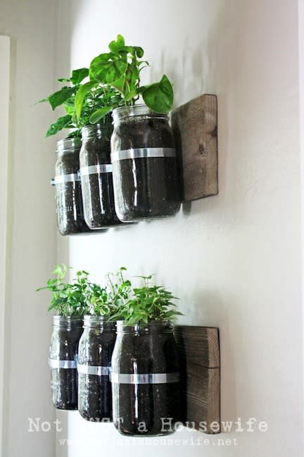 Wall Planters