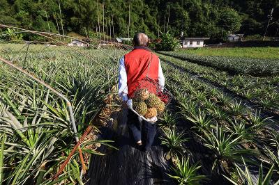 品味．宜蘭特調 與時光共舞的釀造滋味