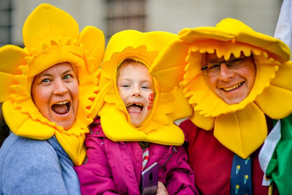 Kim Milhench, left, Grace Whitton and Mark Selby dress as daffodils during a St David’s Day parade in Cardiff (Ben Birchall/PA) (PA Archive)