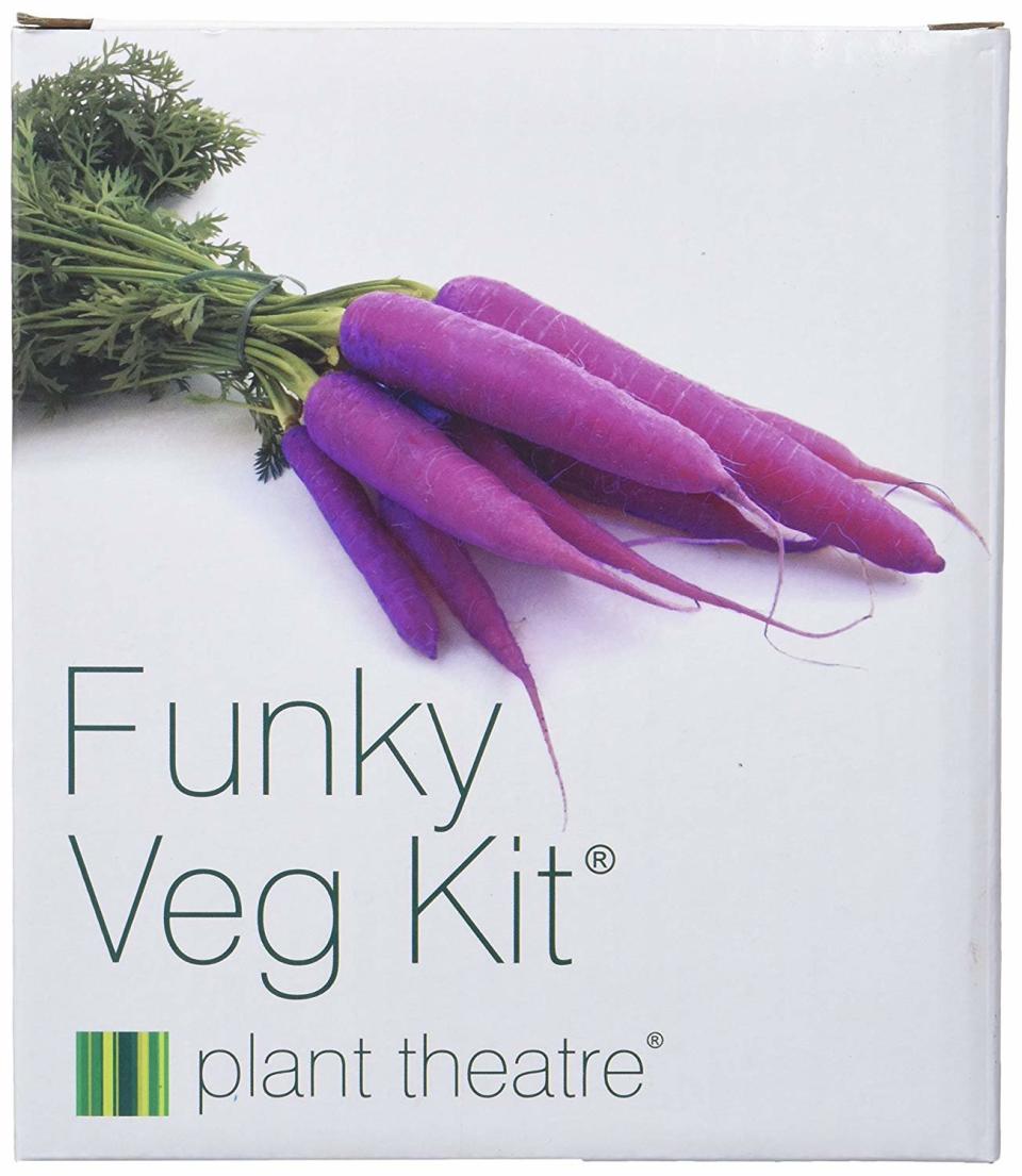 Plant Theatre Funky Veg Kit Gift Box