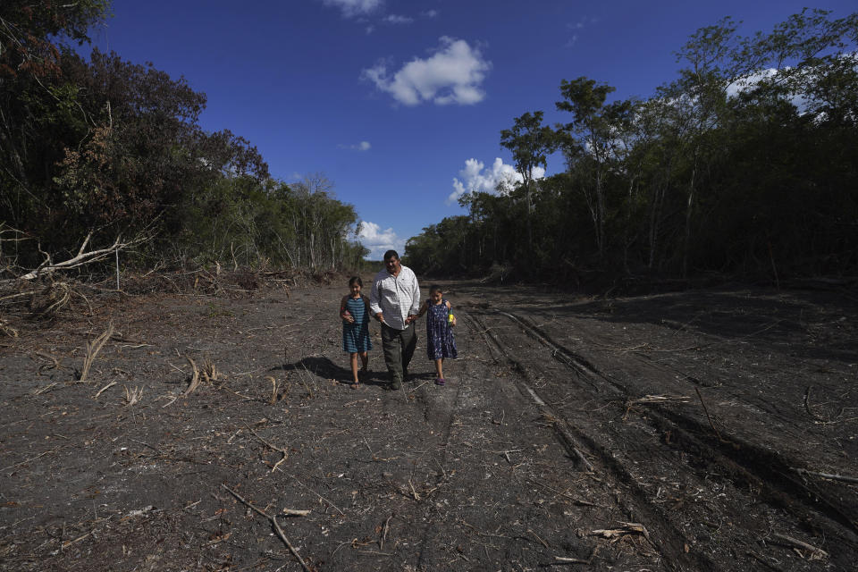 Omar Hernández camina con sus hijas por un terreno que vendió para la construcción de un tramo del Tren Maya, cerca de la Reserva de la Biósfera de Calakmul en la Península de Yucatán, México el miércoles 11 de enero de 2023. Hernández espera vender la miel orgánica que produce a turistas. Sin embargo, tuvo que reubicar sus colmenas, preocupado de que la maquinaria pesada las espantara. (Foto AP/Marco Ugarte)