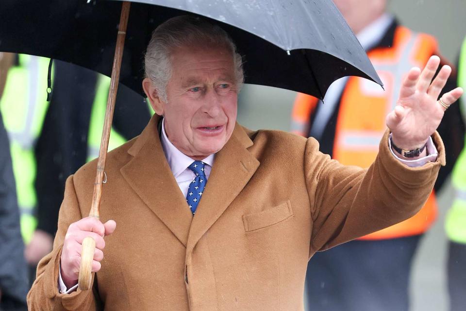 <p>Chris Jackson/Getty Images</p> King Charles in November 2023