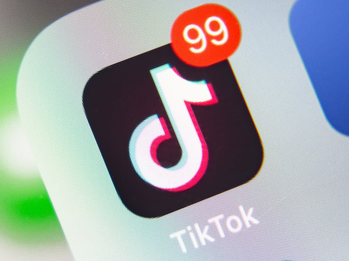 TikTok is facing a complete ban in the US over its links to China (iStock/ Getty Images)