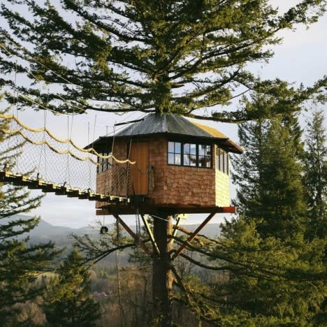 double treehouse cinder cone