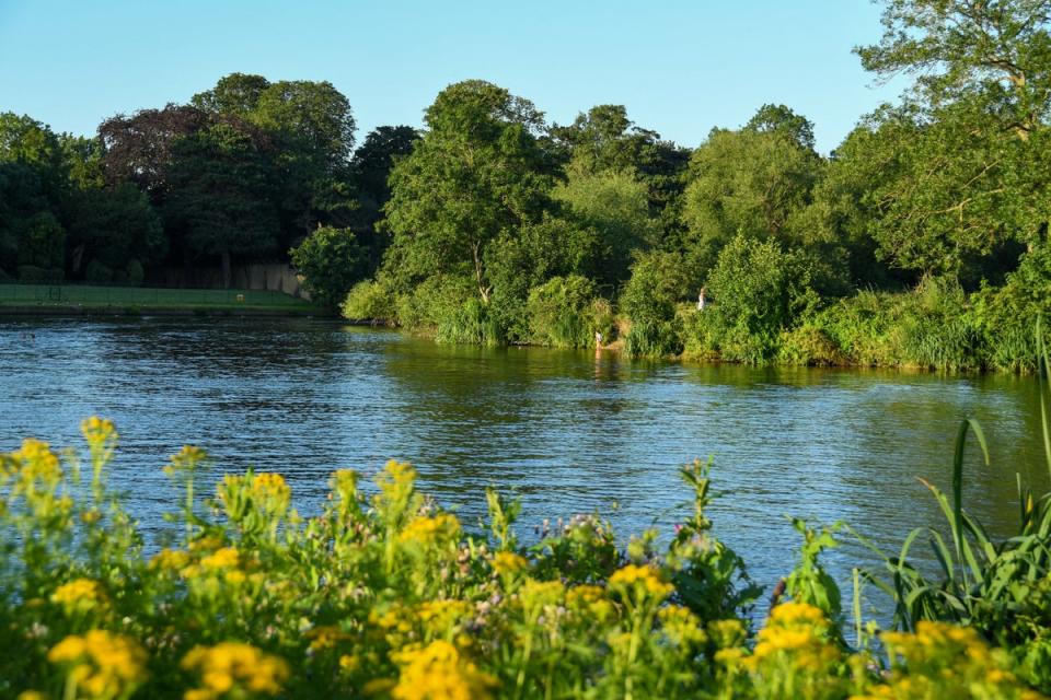  (Desborough Island on the River Thames)