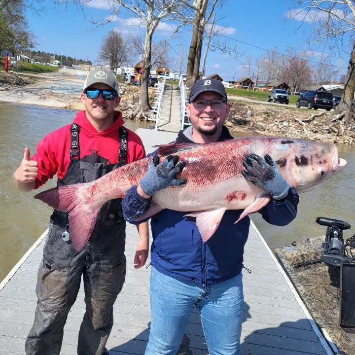 High Water Guide Service fishers hold 67-pound carp