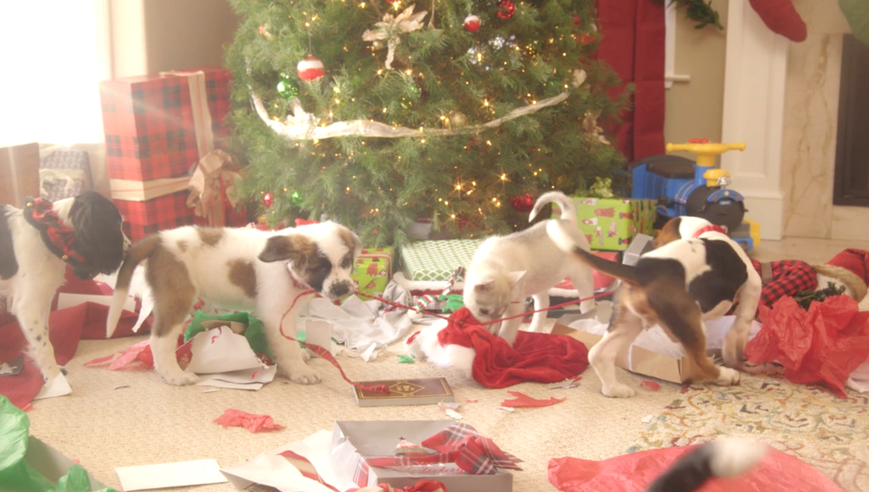 How I Met Your Mother, Puppies Crash Christmas