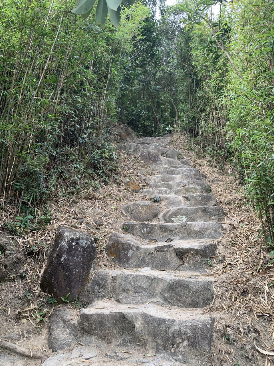 行山路線｜筆架山簡易三小時登山徑！俯瞰九龍半島景色