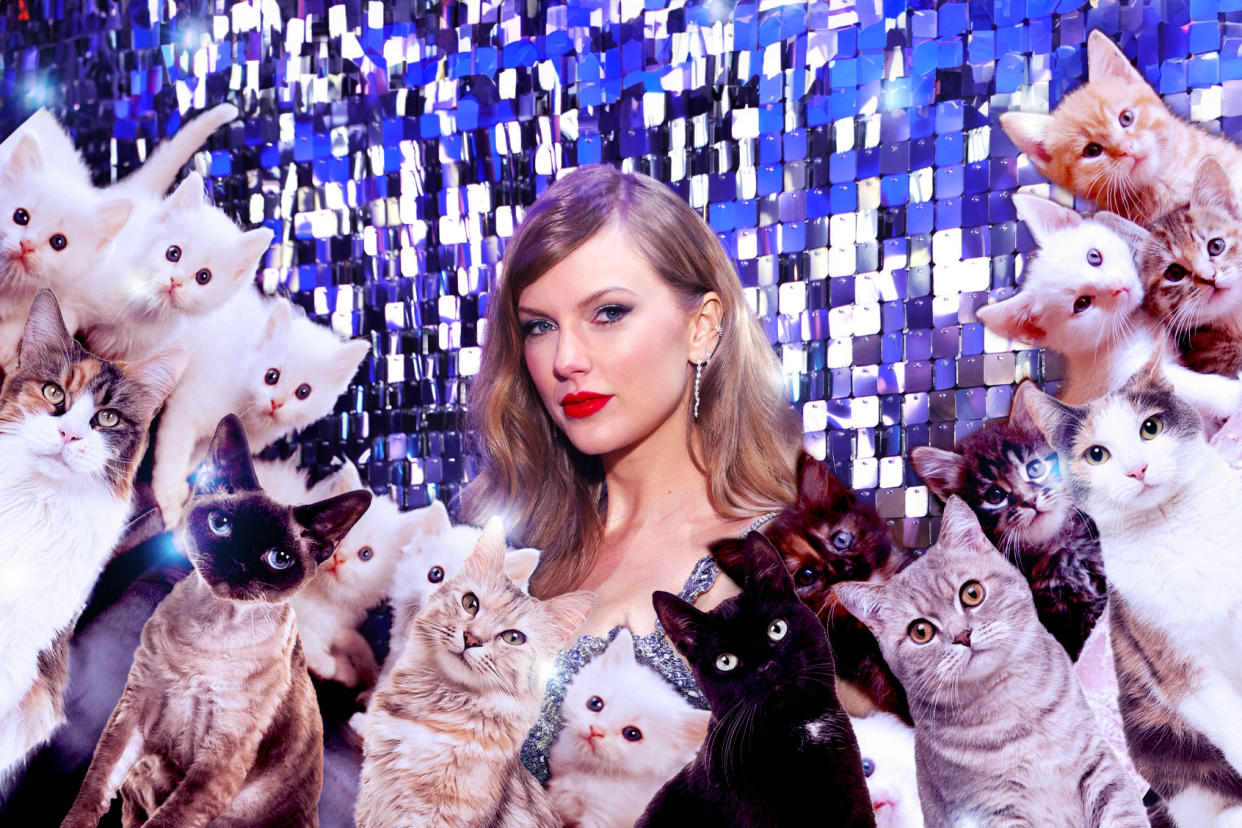 Taylor Swift And Cats Photo illustration by Salon/Getty Images