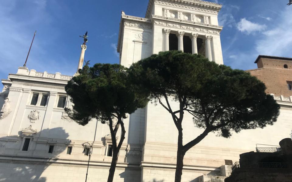 Healthy umbrella pines in front of the Vittoriano monument in Piazza Venezia in central Rome - Nick Squires