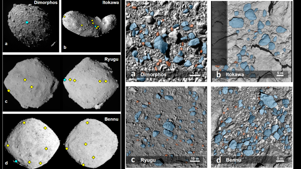 Comparison of rocks from Dimorphos, Itokawa, Ryugu and Bennu