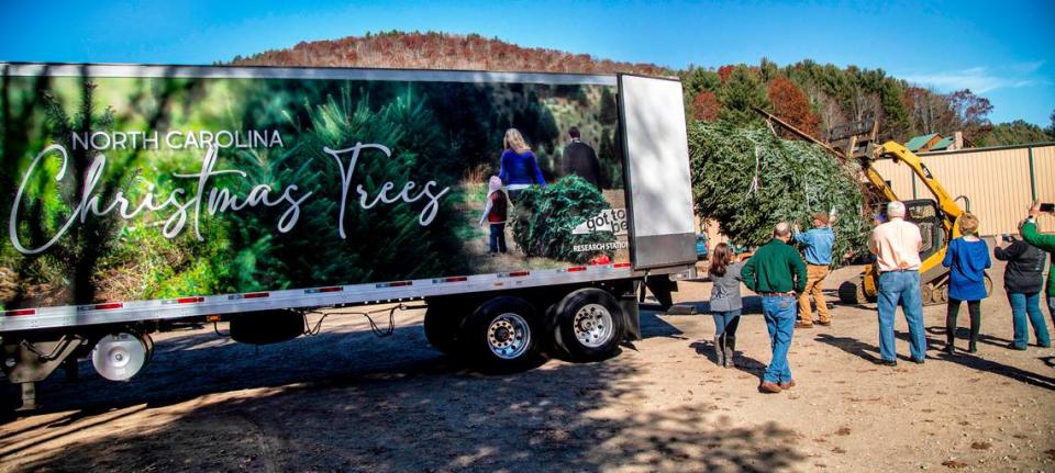 The 2021 White House Christmas Tree is loaded into the back of a tractor trailer at Peak Farms in Jefferson Wednesday, Nov. 17, 2021. North Carolina growers will produce between 5.5 million and 6.5 million Christmas trees this holiday season.