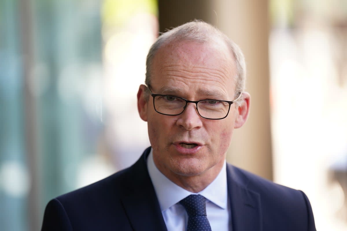 Simon Coveney warned that action on the Northern Ireland Protocol should not be the price of maintaining the support for Tory MPs for Boris Johnson (Rebecca Black/PA) (PA Wire)