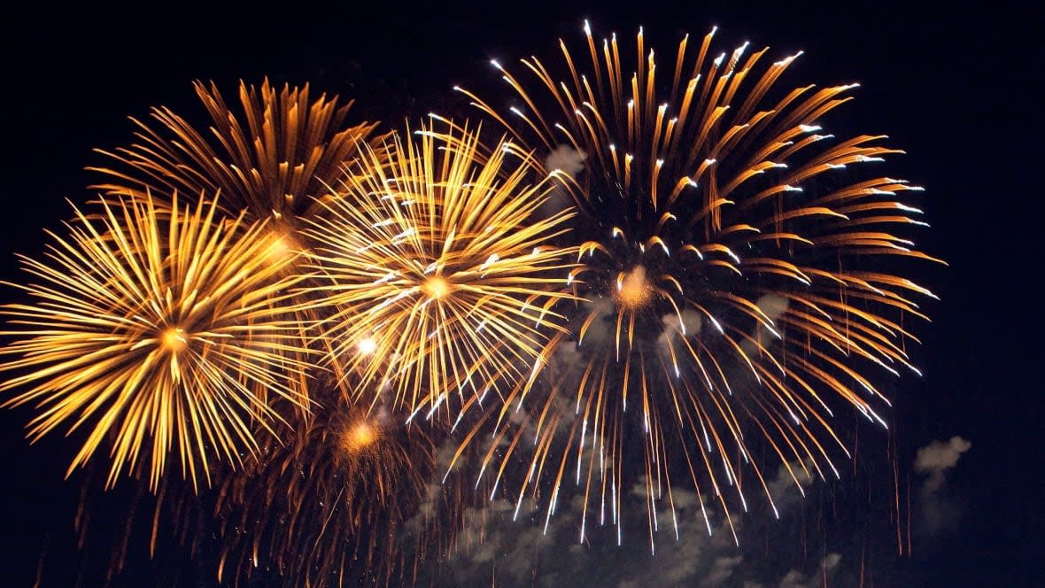 This year's fireworks show will run for approximately ten minutes, according to the city. (CBC - image credit)