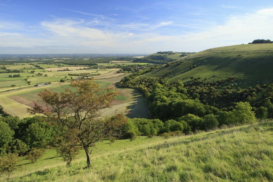 The landscape of the South Downs (John Miller/National Trust Images/PA)