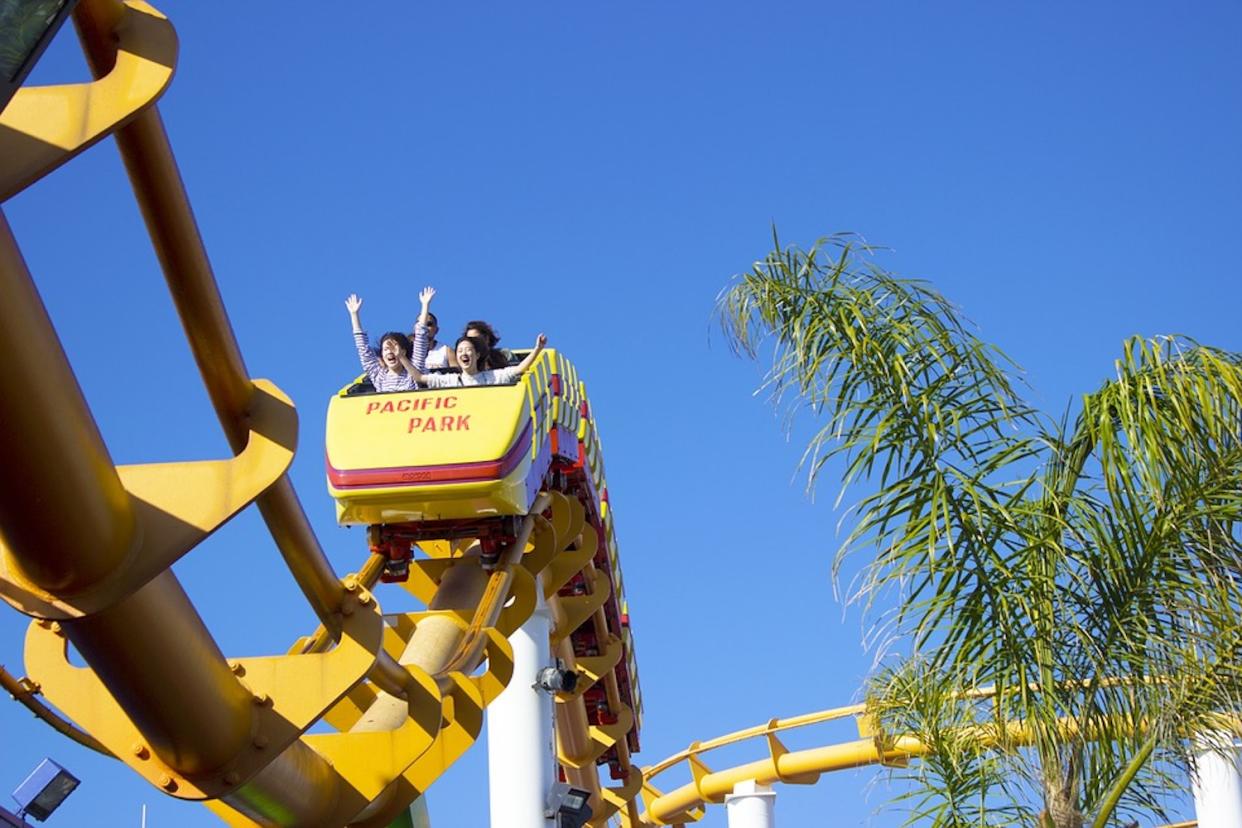 Jefferies CEO Rich Handler says financial life will be more of a roller coaster from now on. Image Source: Pixabay
