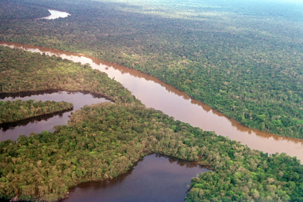 A view on Amazon River near Iquitos in Peru
