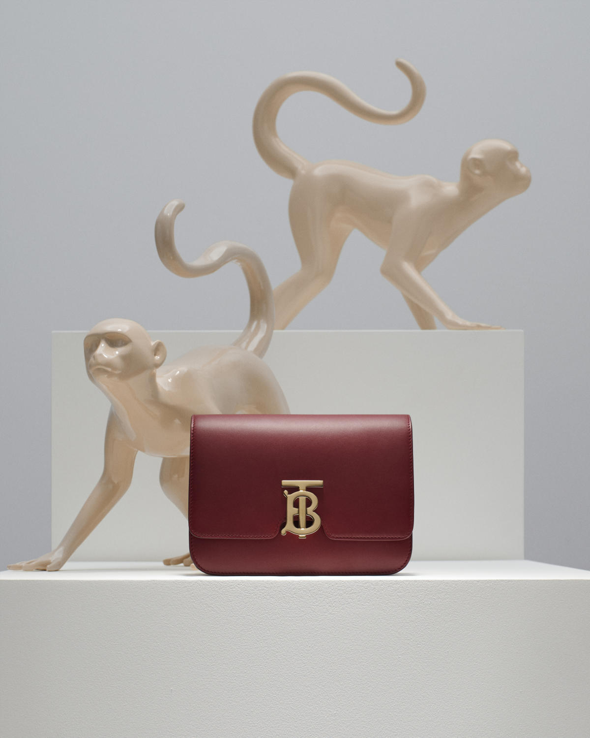 Burberry Crimson Small Leather Tb Bag for Women