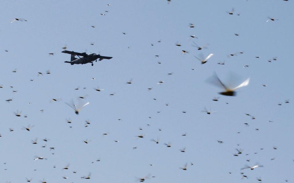 plane with locust pesticides.JPG